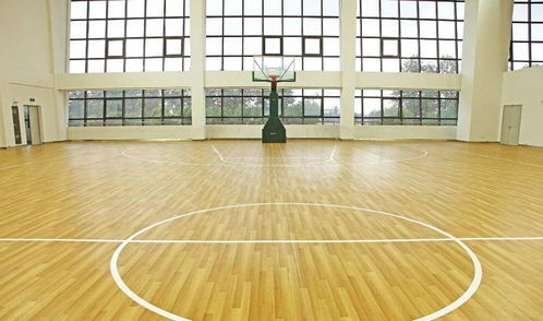 沈陽(yáng)天韻舞蹈地膠批發(fā) 舞韻系列塑膠地板