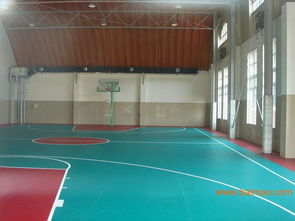 塑膠地板概述 類型、應用與價格指南