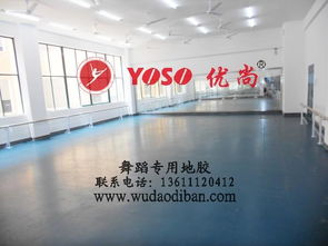 專業(yè)舞蹈塑膠地板 保護(hù)、減震、排壓與批發(fā)的全方位解析